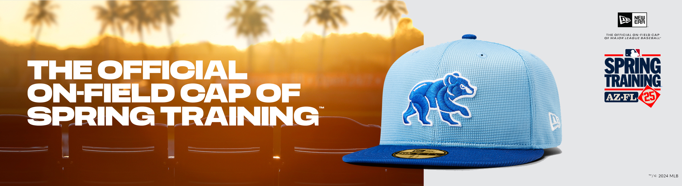 chicago-cubs-2025-spring-training-banner.jpg chicago-cubs-2025-spring-training-banner.jpg